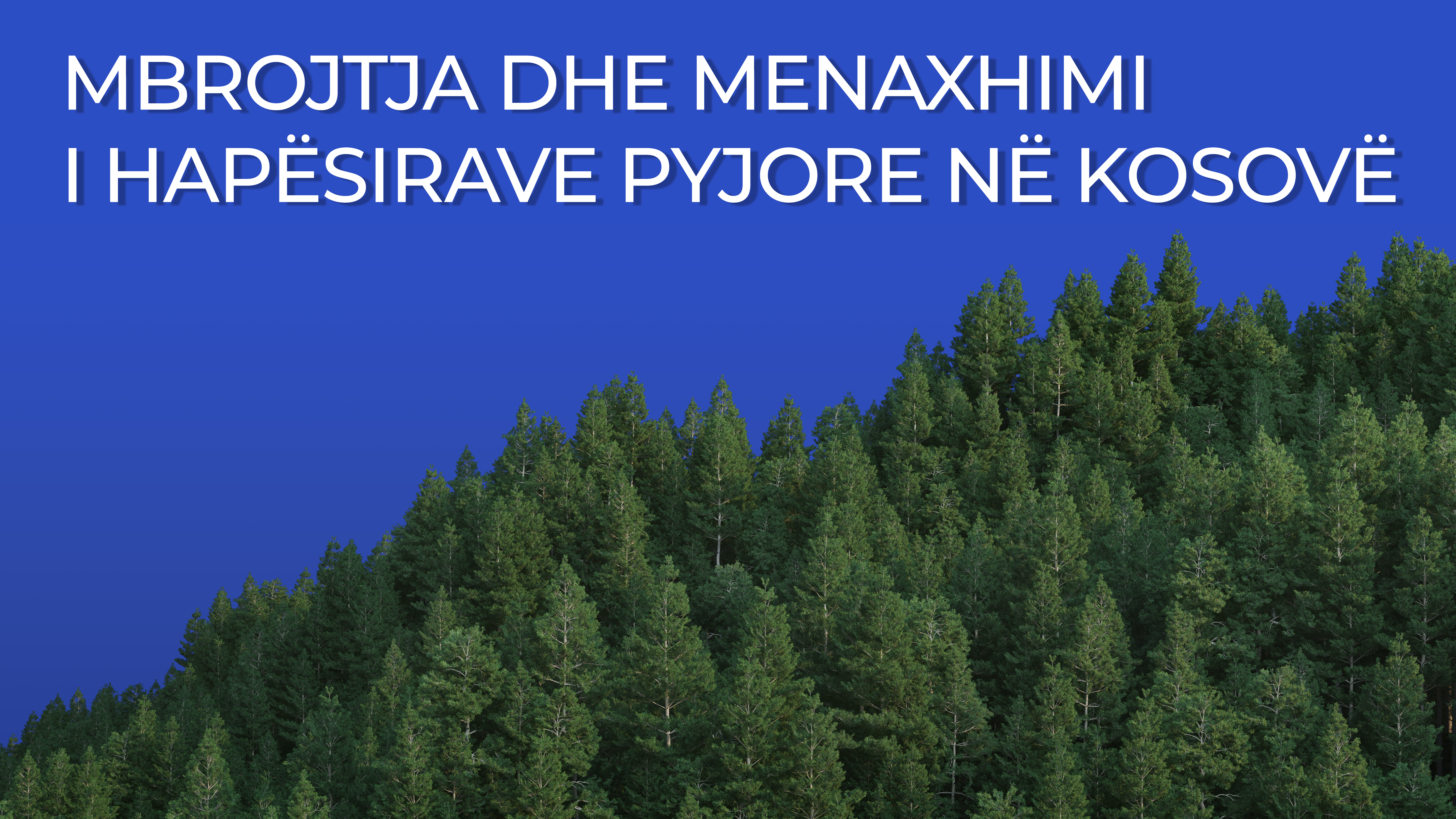 ZKA-ja auditon mbrojtjen dhe menaxhimin e hapësirave pyjore në Kosovë 